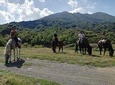 Horse riding on Vesuvius