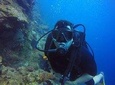 Diving Catalina Island