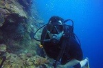 Diving Catalina Island