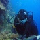 Diving Catalina Island