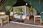 6 Days Luxury Tented Camping safari Adventure