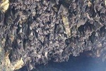 East Bali Tour (Lempuyang Trip)