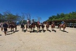 Horseback Ride & Beach