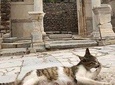 Half Day Ephesus & Temple of Artemis Tour from Izmir
