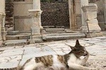 Half Day Ephesus & Temple of Artemis Tour from Izmir