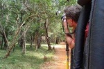 Immersive leopard and sloth bear safari experience – Wilpattu National Park