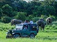 Udawalawe Safari Day Trip from Hikkaduwa & Surroundings - All Inclusive