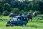 Udawalawe Safari Day Trip from Hikkaduwa & Surroundings - All Inclusive