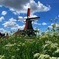 Amazing Zaanse Schans Tour