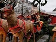 Christmas Markets Private Walking Tour, Copenhagen