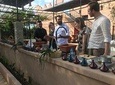 Cooking Classes Farm to Table Marrakech