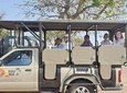 Kruger National Park. 2 Days Best Ever Safari from Cape Town