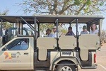 Kruger National Park. 2 Days Best Ever Safari from Cape Town