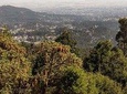 Entoto Mountain From Addis Ababa