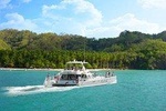 Tortuga Island by Cruise From San Jose