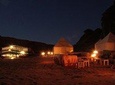 Wadi Rum Day Tour