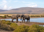 Explore Aquila Private Game Reserve, South Africa
