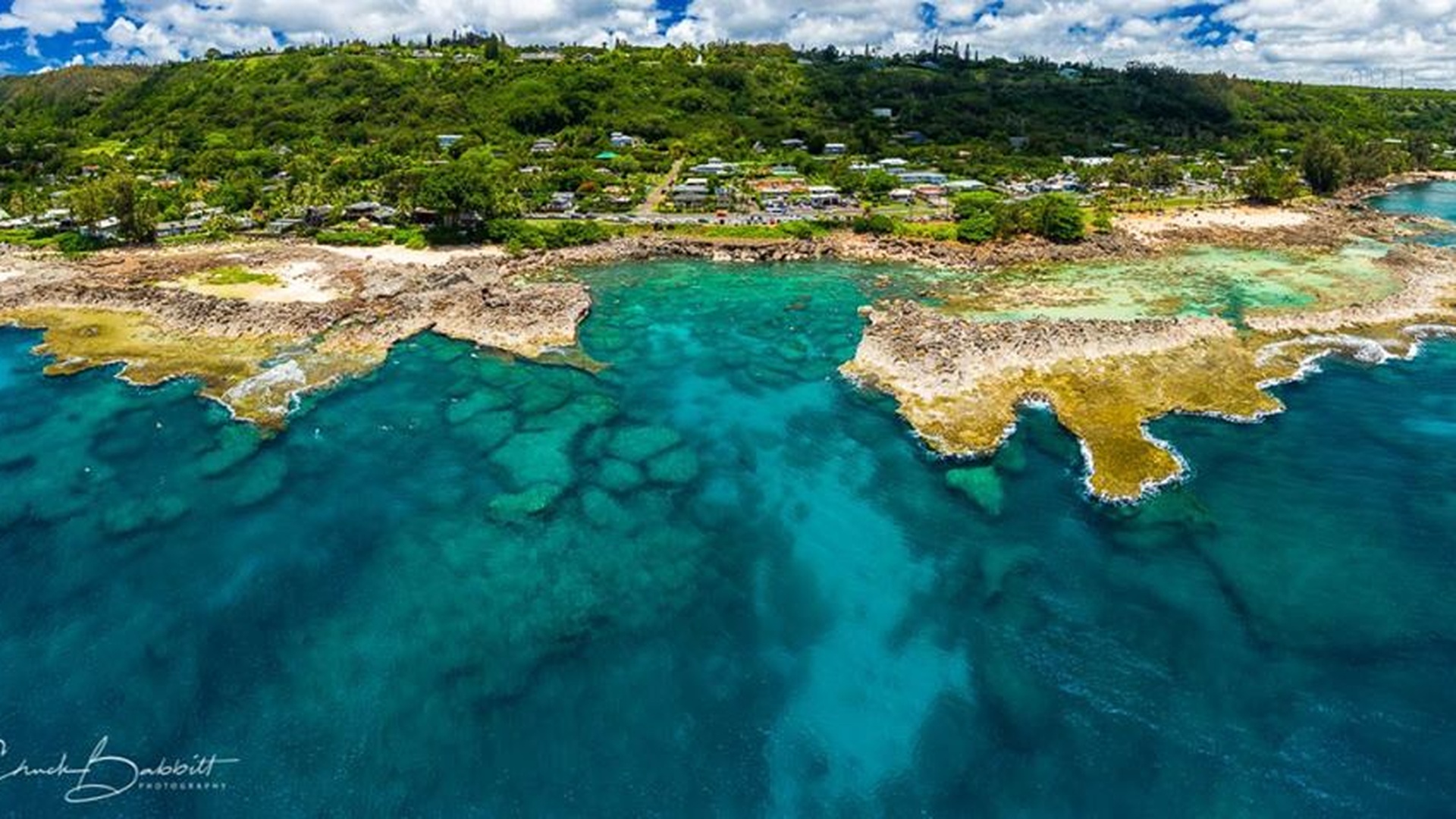 Dive into an underwater paradise at Shark's Cove, Oahu