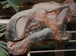 Visit Paleozoological Museum of China, Beijing, China