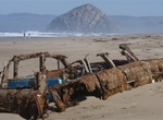 Hike Sandspit Beach, Morro Bay State Park, California