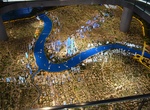 Visit Urban Planning Exhibition Center, Shanghai, China