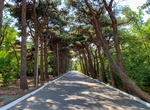 Explore Central Botanical Garden, Baku, Azerbaijan