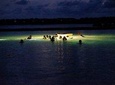 Night Snorkeling Experience in Mirissa