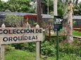 Lancetilla Botanical Garden