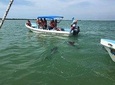 Tulum relaxing half day tour