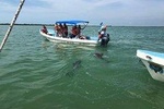 Tulum relaxing half day tour