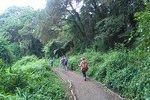 Full Day Hike At Rau Forest Reserve, Near Moshi