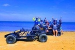 Roatan Buggy Adventure, Monkey & Sloth Park, Beach Pass plus Private Transfer
