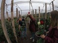 Tour of Roses and Otavalo Market
