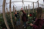 Tour of Roses and Otavalo Market