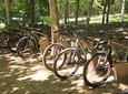 Bicycle Riding Tour 