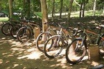 Bicycle Riding Tour 