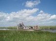  1-Day Miami+Everglades Naitonal Park Tour ( Miami Departure )( MIA1-A )