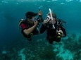Padi Open Water Diver Course