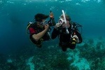 Padi Open Water Diver Course