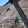 Beginner Group Rock Climbing in Joshua Tree National Park