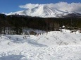 -Snow mountain hiking at the foot of Asama- Karuizawa Snowshoe Tour