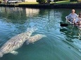 Clear Kayak Tour of Crystal River
