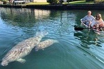 Clear Kayak Tour of Crystal River