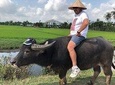 Hoi An Countryside - Buffalo Riding - Basket Boat Rowing