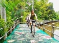 Bangkok's Green Lung Jungle Cycling Adventure Tour