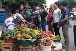 Day Tour Around Moshi Town