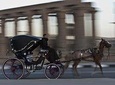 Luxor: City Tour by Horse Carriage from the East Bank