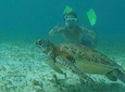 Hol Chan Full-Day Bucket List Snorkeling and Marine Life Tour
