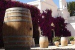 Wine & Oil tour: excursion from Bari (or province) 