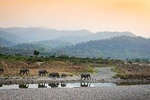 2N Jim Corbett National Park (Dhikala Zone)